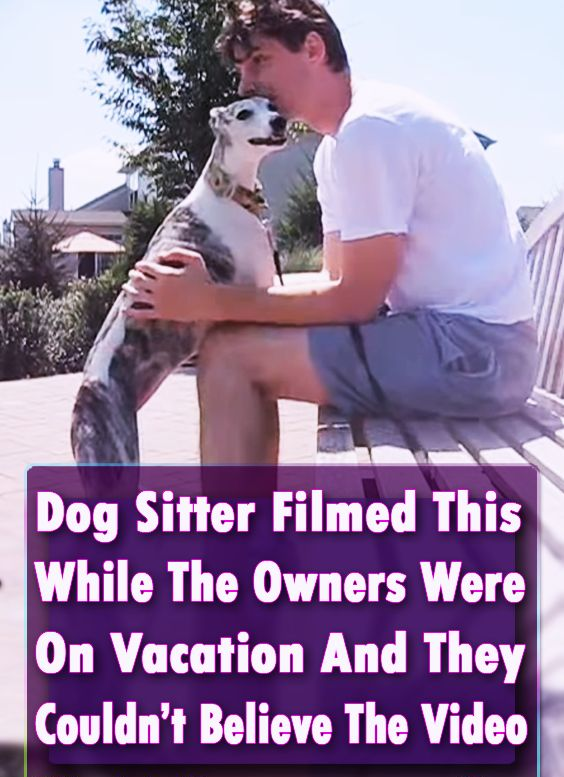 Dog Sitter Filmed This While The Owners Were On Vacation And They Couldn’t Believe The Video