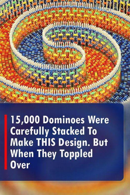 (VIDEO)15,000 Dominoes Were Carefully Stacked To Make THIS Design. But When They Toppled Over