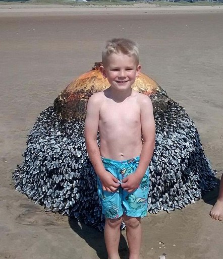 Dad Shares Innocent Photo Of His Son At Beach, Authorities Act Fast After Spotting Small Detail