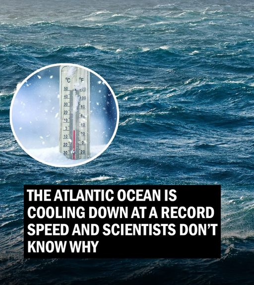 The Atlantic Ocean is cooling down at a record speed and scientists don’t know why