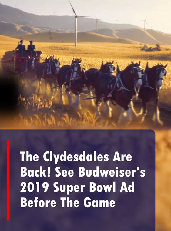 The Clydesdales Are Back! See Budweiser’s 2019 Super Bowl Ad Before Game Day