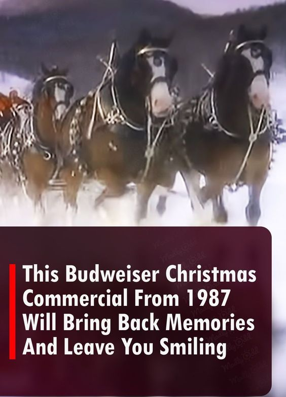 This Budweiser Christmas Commercial From 1987 Will Bring Back Memories And Leave You Smiling