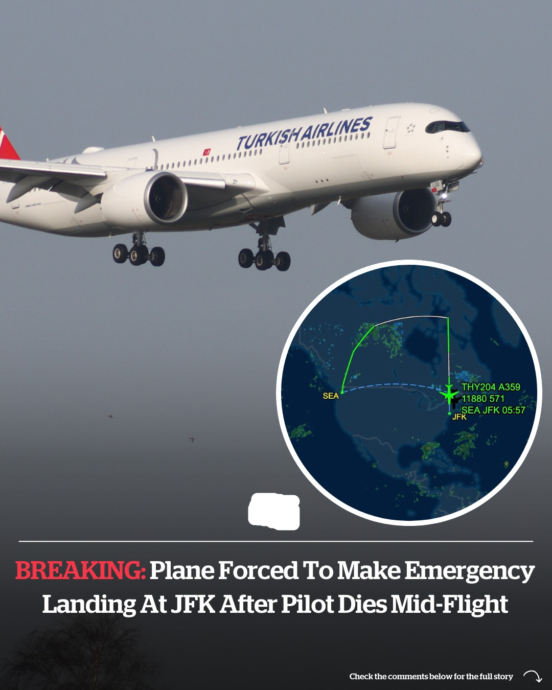 Plane forced to make emergency landing at JFK after pilot dies mid-flight