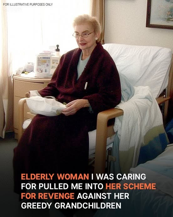 I Was Just a Caregiver for an Elderly Lady Until She Revealed Her Plan to Rewrite the Will