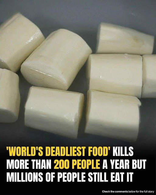 The worlds deadliest food claims over 200 lives every year, yet nearly 500 million people still eat it
